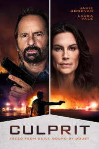 Poster for the movie "Culprit"